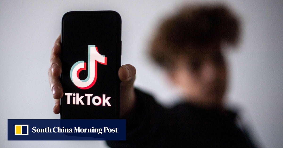 French Parliamentary Committee Recommends Social Media Ban Under 15, Digital Curfew Teens