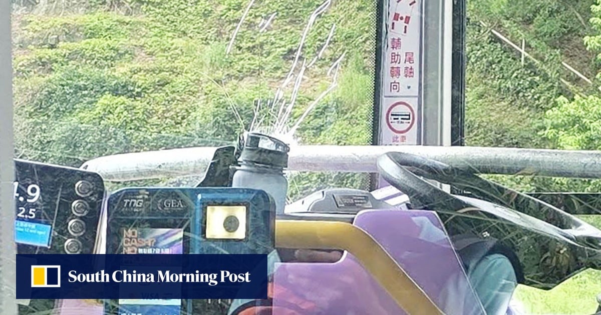 https://cdn.i-scmp.com/sites/default/files/styles/og_image_scmp_generic/public/d8/images/canvas/2025/09/15/309ad8ed-9f84-4343-a9d0-355ab86d2346_da4b5d29.jpg?itok=VdLvevEw&v=1757942751