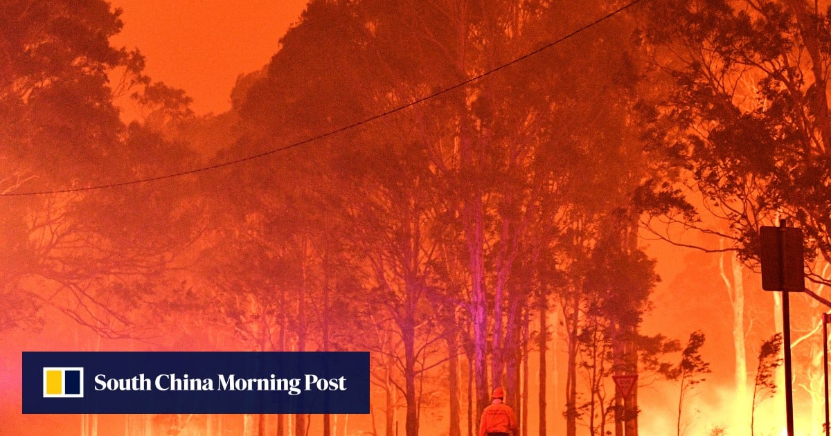 https://cdn.i-scmp.com/sites/default/files/styles/og_image_scmp_generic/public/d8/images/canvas/2025/09/15/c7d2dcfd-e741-4c37-8164-18bd5cbfe7b8_501278b4.jpg?itok=oh9nAfUA&v=1757896646