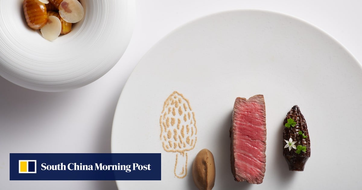 https://cdn.i-scmp.com/sites/default/files/styles/og_image_scmp_generic/public/d8/images/canvas/2025/09/17/653f9efc-289b-4c77-91f0-71b8affa0e38_792251bb.jpg?itok=Ayi_juLO&v=1758093565