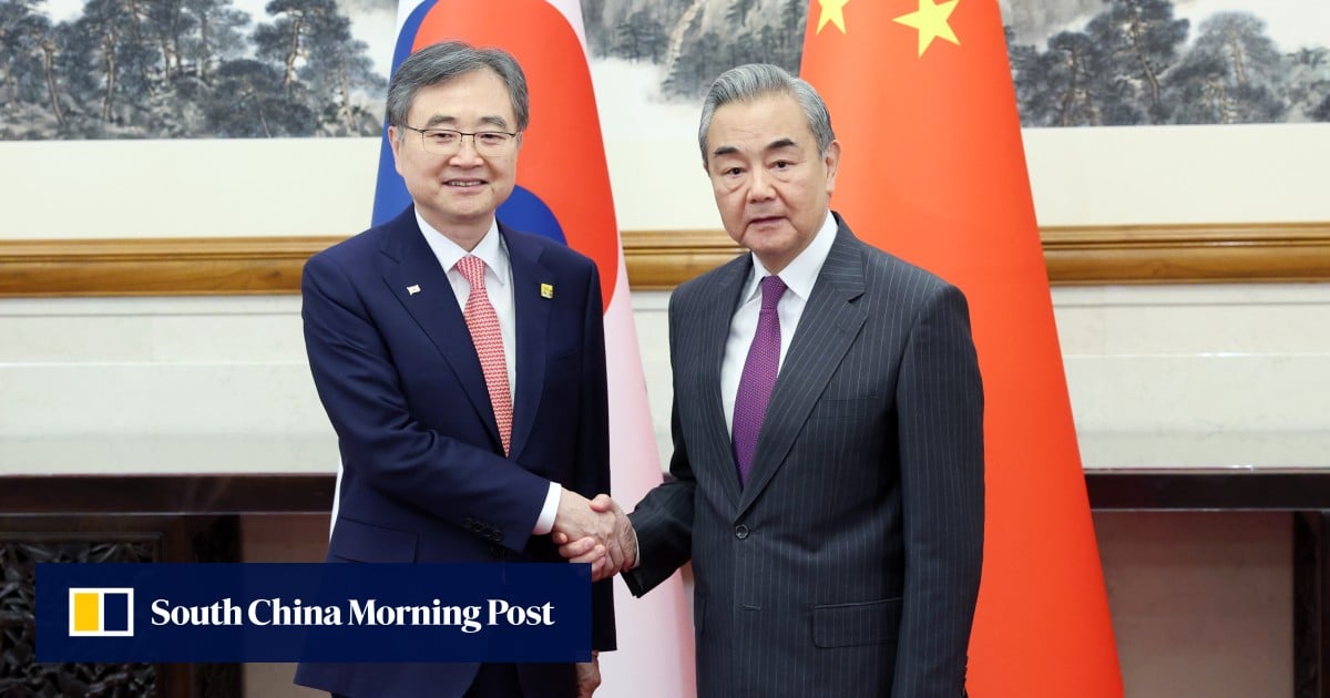 South Korea should join China as bulwark against ‘rampant’ bullying: Wang Yi