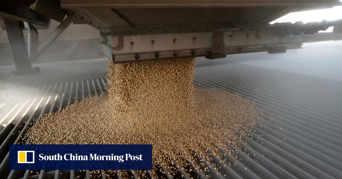 https://cdn.i-scmp.com/sites/default/files/styles/og_image_scmp_generic/public/d8/images/canvas/2025/09/18/a3894712-2a10-417b-9bfe-2d9c5930598e_6019ad8e.jpg?itok=Qwpjda-g&v=1758189176