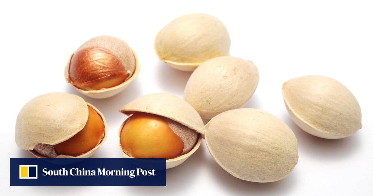 https://cdn.i-scmp.com/sites/default/files/styles/og_image_scmp_generic/public/d8/images/canvas/2025/09/18/bb3a2f28-9f06-4201-901a-614936578864_cf9f50e8.jpg?itok=2TlZc3_g&v=1758187470