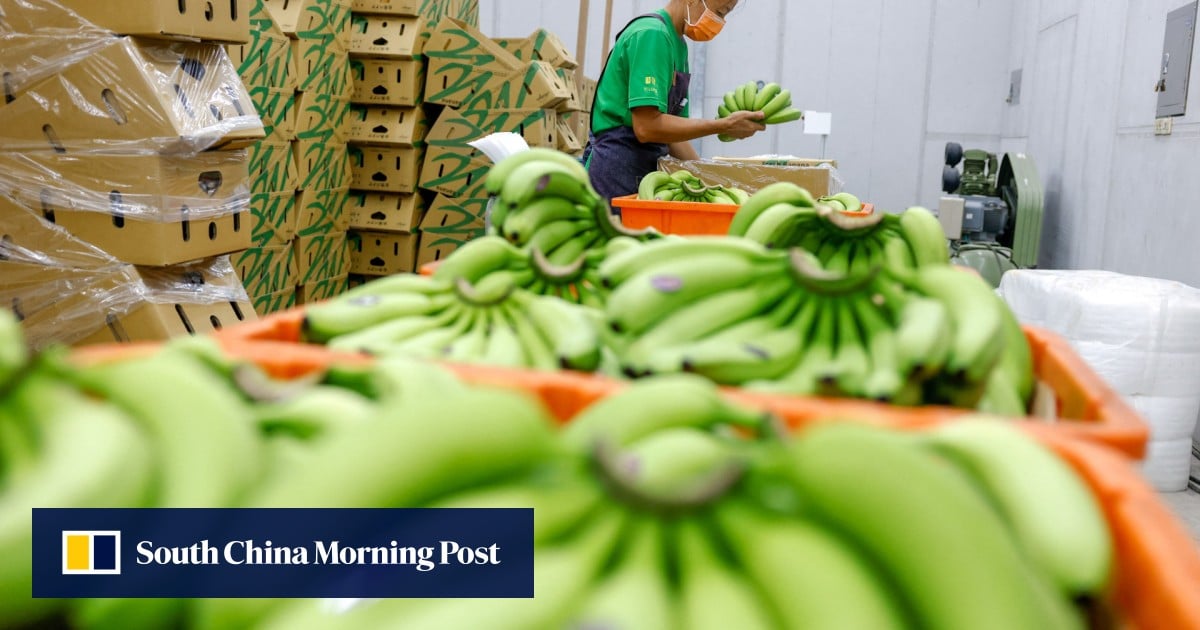 https://cdn.i-scmp.com/sites/default/files/styles/og_image_scmp_generic/public/d8/images/canvas/2025/09/19/b74f9db4-4929-46c4-a3b7-99f06ce10f28_3d2fa0d3.jpg?itok=tJWVTeUt
