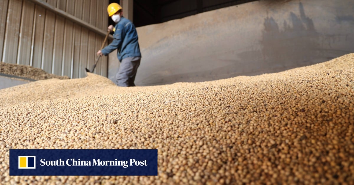 https://cdn.i-scmp.com/sites/default/files/styles/og_image_scmp_generic/public/d8/images/canvas/2025/09/22/0fb85b84-f69d-456d-a332-dbbc991270c1_d1c745bb.jpg?itok=fMoHW1D2&v=1758534118