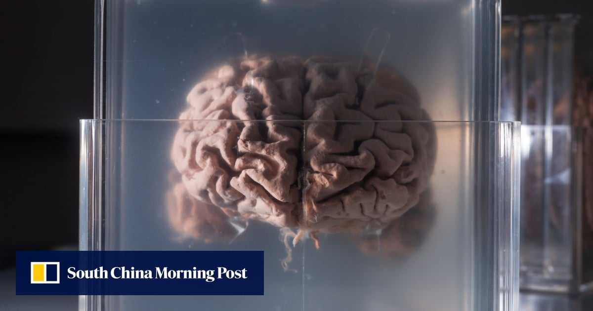 https://cdn.i-scmp.com/sites/default/files/styles/og_image_scmp_generic/public/d8/images/canvas/2025/09/22/2103151e-32f2-4389-9ab5-533a969d6409_0de9e905.jpg?itok=kWE8ipOM&v=1758523474