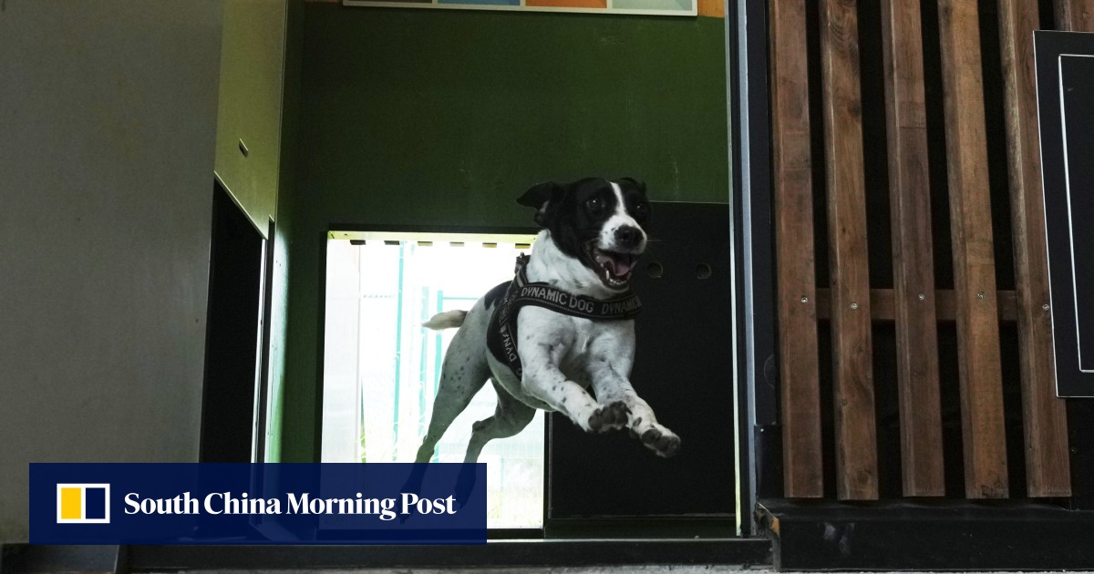 https://cdn.i-scmp.com/sites/default/files/styles/og_image_scmp_generic/public/d8/images/canvas/2025/09/22/ac6c063f-ab4d-4393-a307-ede1075d1ed5_e4f2761e.jpg?itok=6EO_hXew&v=1758528129