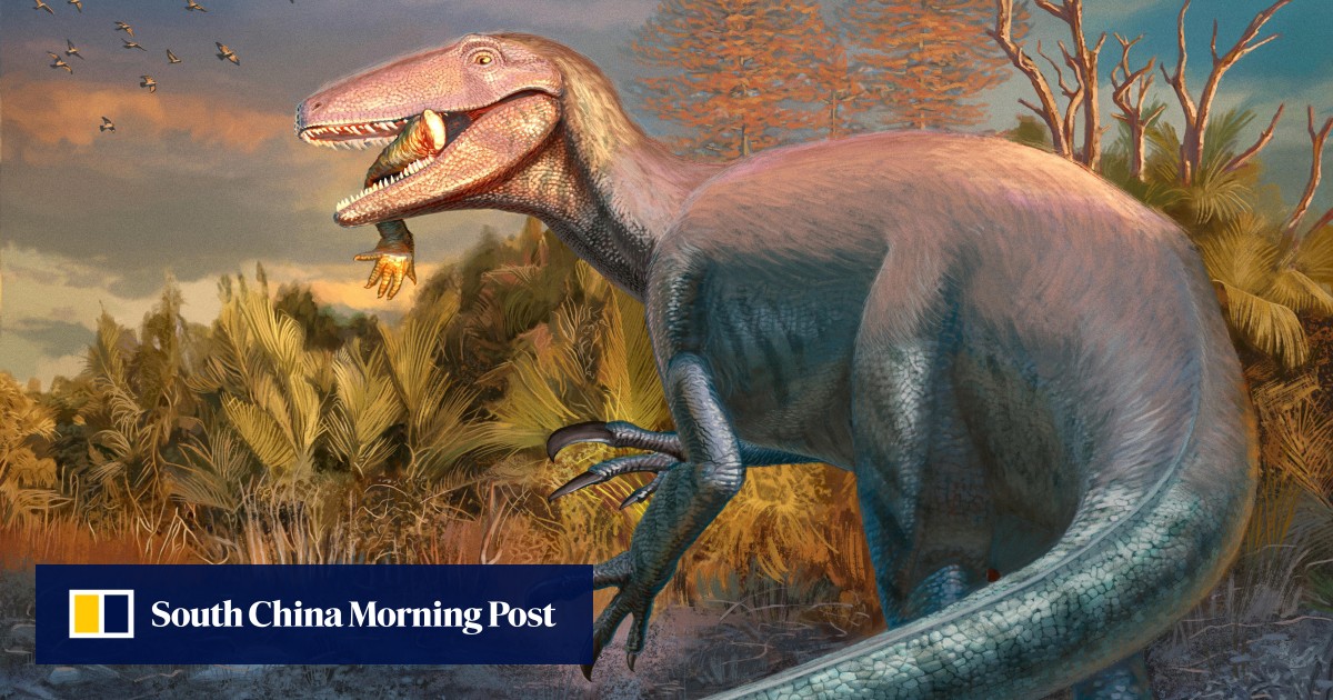 https://cdn.i-scmp.com/sites/default/files/styles/og_image_scmp_generic/public/d8/images/canvas/2025/09/24/11bb1416-8d58-4a36-9115-216372394108_e969ebfb.jpg?itok=ppHdVPVZ&v=1758660948