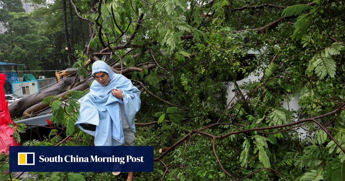 https://cdn.i-scmp.com/sites/default/files/styles/og_image_scmp_generic/public/d8/images/canvas/2025/09/25/39c88742-caaa-47e6-b594-d0403746ca87_d19fa5a8.jpg?itok=JORstMTs&v=1758802860