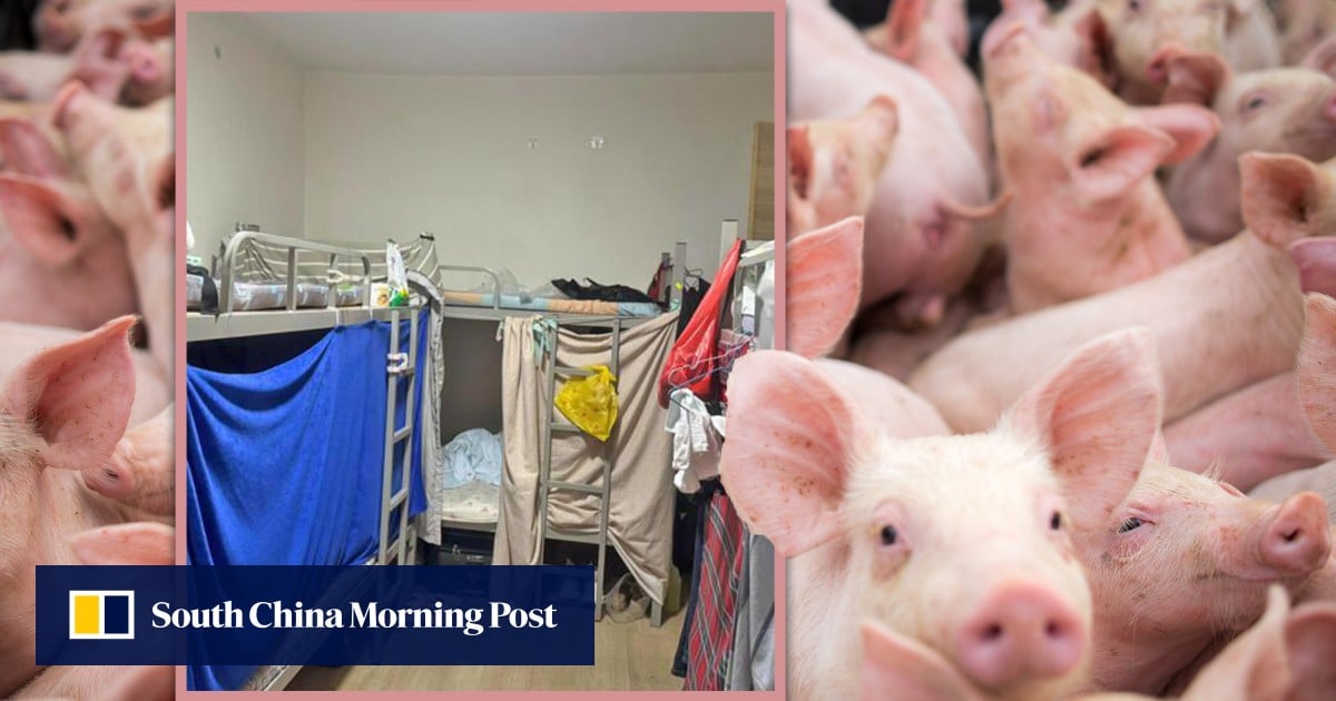 https://cdn.i-scmp.com/sites/default/files/styles/og_image_scmp_generic/public/d8/images/canvas/2025/09/26/bf1cd5f8-bcd6-4fa2-9f03-744b43680d91_bbd306c9.jpg?itok=7SNsgmVf&v=1758870362
