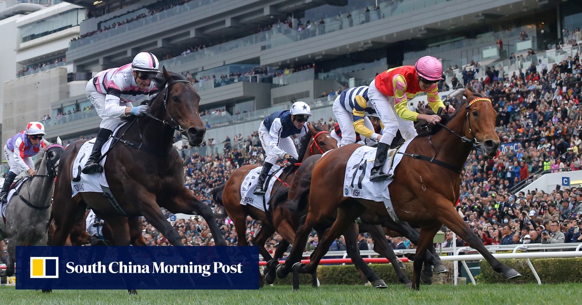 How many Group One winners in waiting does the Celebration Cup boast?