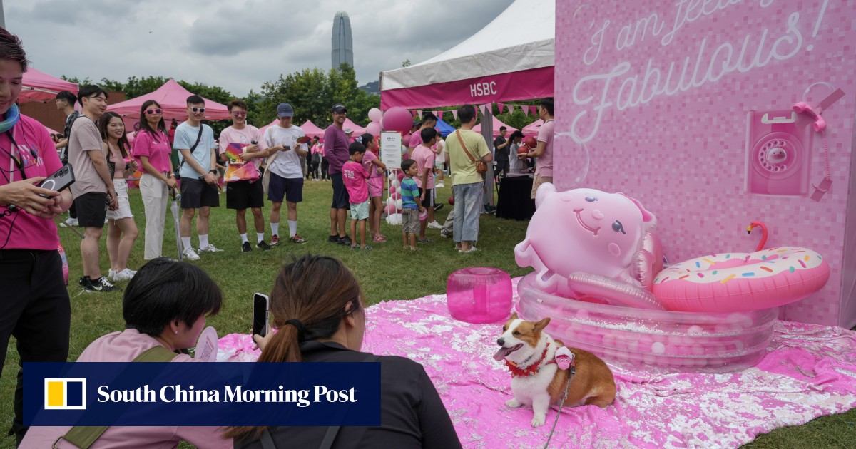 Hong Kong’s Pink Dot to hold online concert after bid to hire Art Park declined