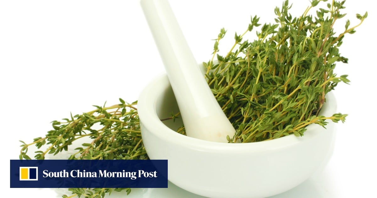 https://cdn.i-scmp.com/sites/default/files/styles/og_image_scmp_generic/public/d8/images/canvas/2025/09/29/d5ae7732-7ce9-4809-98a5-75d4ecc5d94a_550303d6.jpg?itok=J-9usPEQ&v=1759135213