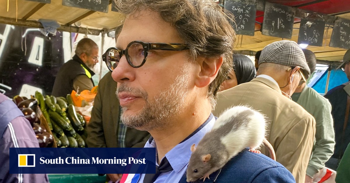 https://cdn.i-scmp.com/sites/default/files/styles/og_image_scmp_generic/public/d8/images/canvas/2025/09/29/e2ad6b8a-d66f-44fa-a3d9-575dc646831d_0ac53521.jpg?itok=zo3qNwBw&v=1759129052