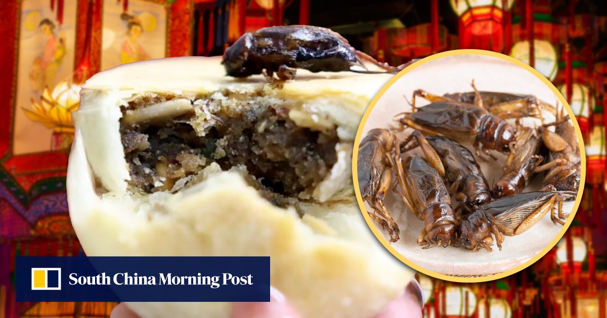 https://cdn.i-scmp.com/sites/default/files/styles/og_image_scmp_generic/public/d8/images/canvas/2025/09/30/29f7b0c8-f6de-4cef-82b4-c10f70744c28_ec5fab59.jpg?itok=7tRiENAt&v=1759210679