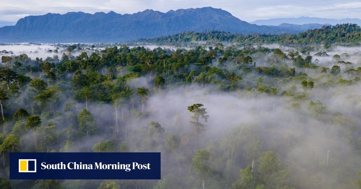 https://cdn.i-scmp.com/sites/default/files/styles/og_image_scmp_generic/public/d8/images/canvas/2025/09/30/3af14703-27de-4c48-93c7-d05c3396af20_461d1025.jpg?itok=oWbFPGMR&v=1759224434
