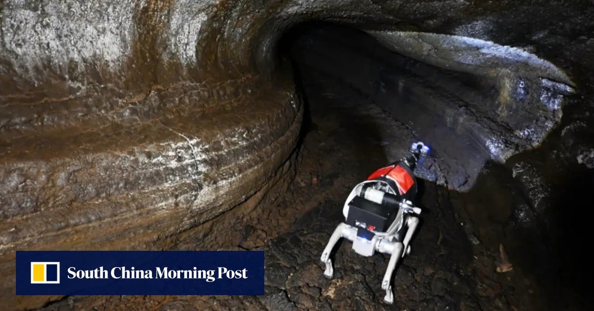 China deploys robot dogs in simulated moon conditions ahead of lunar mission