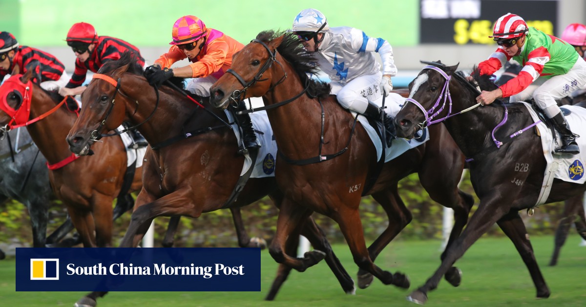 Mark Newnham confirms new jockey for lightweight My Wish in Sha Tin Trophy