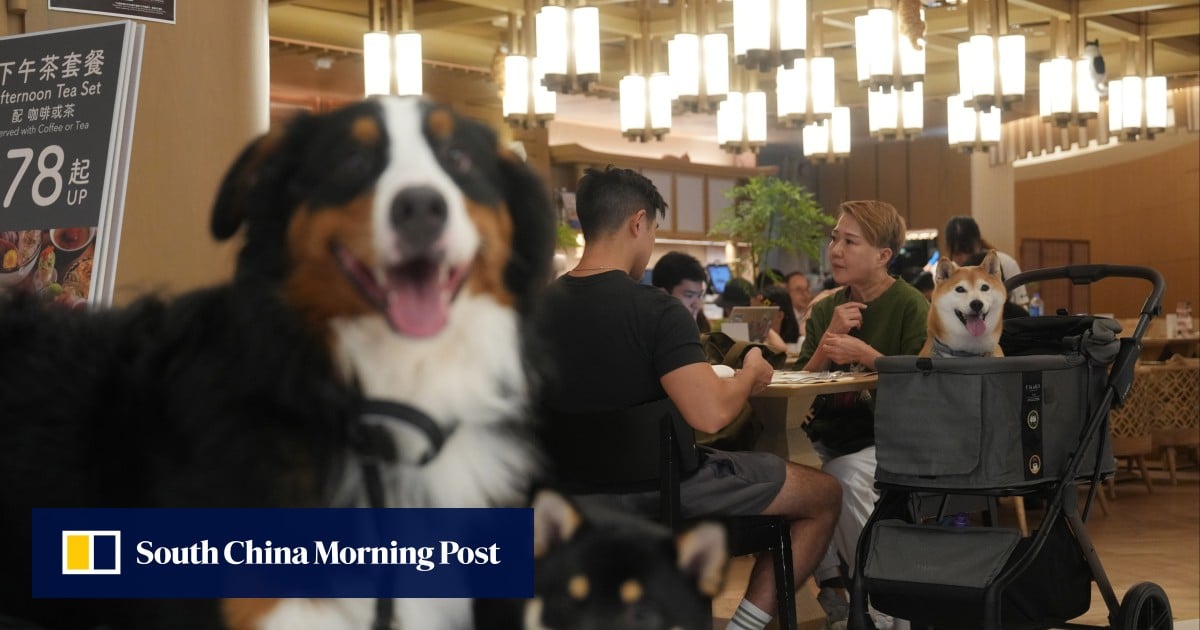 https://cdn.i-scmp.com/sites/default/files/styles/og_image_scmp_generic/public/d8/images/canvas/2025/10/02/2b331d56-20f3-4607-ab59-b7b4e86e5dfa_284640a9.jpg?itok=2R6u6Ghu&v=1759374758