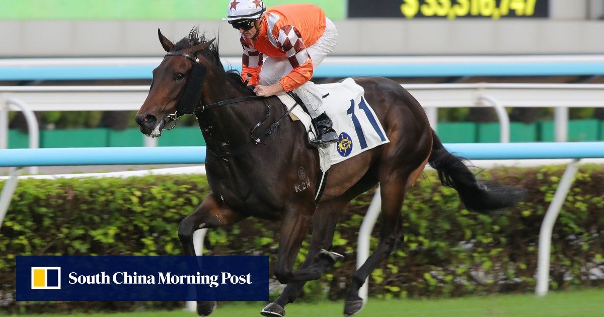 Jamie Richards confident Zac Purton and Bulb General can overcome wide draw in hat-trick bid