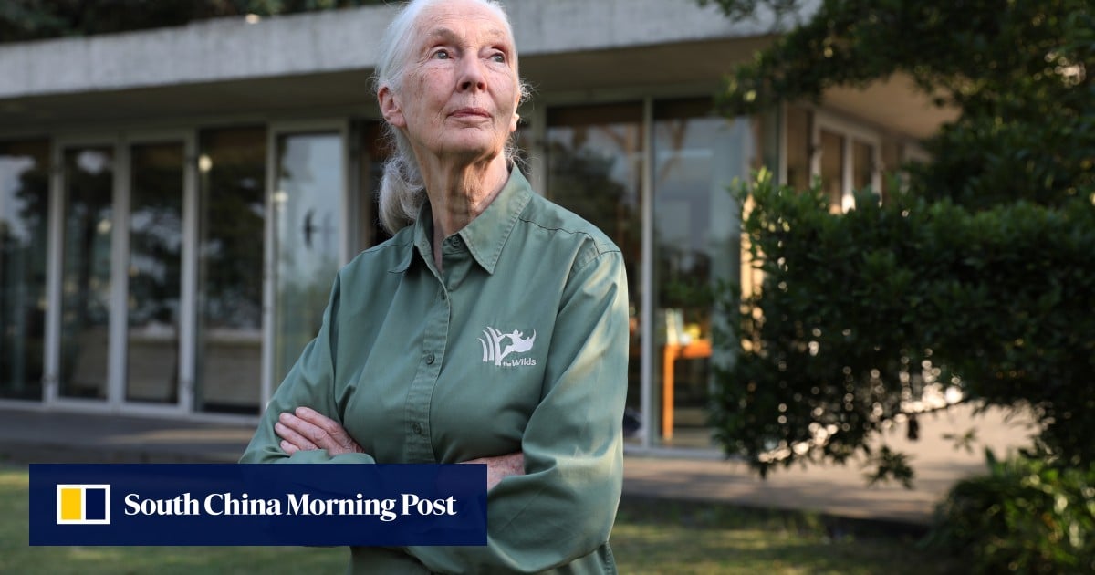 https://cdn.i-scmp.com/sites/default/files/styles/og_image_scmp_generic/public/d8/images/canvas/2025/10/02/7e60d463-f452-43b4-a467-eac288816079_f128c740.jpg?itok=KCrHk5Gn&v=1759411793