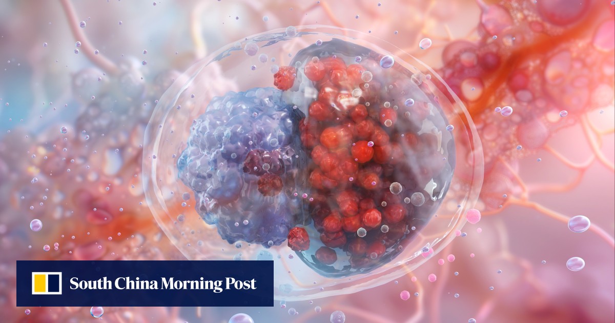 https://cdn.i-scmp.com/sites/default/files/styles/og_image_scmp_generic/public/d8/images/canvas/2025/10/02/99b34654-7e9d-45e1-aa05-61ebc1cf2c99_9876569f.jpg?itok=F5VN3-U9&v=1759392023