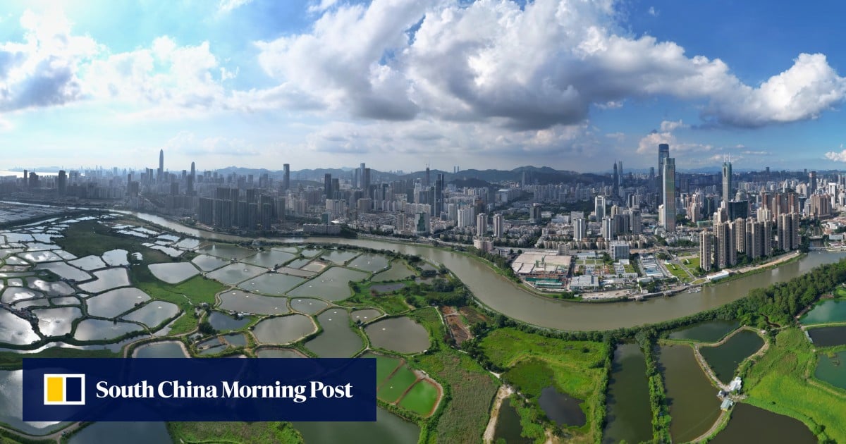 Hong Kong shelves HK$700 million infrastructure gallery proposal after backlash