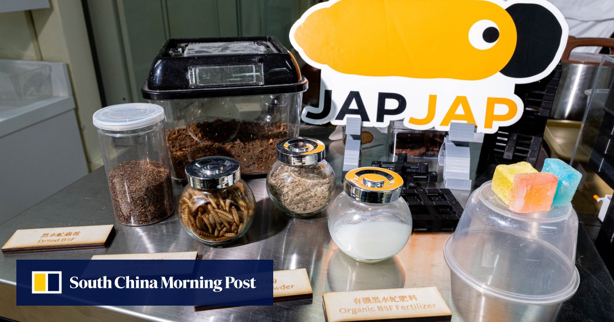 Spirit of Hong Kong Awards: designer’s fly larvae system recycles food waste