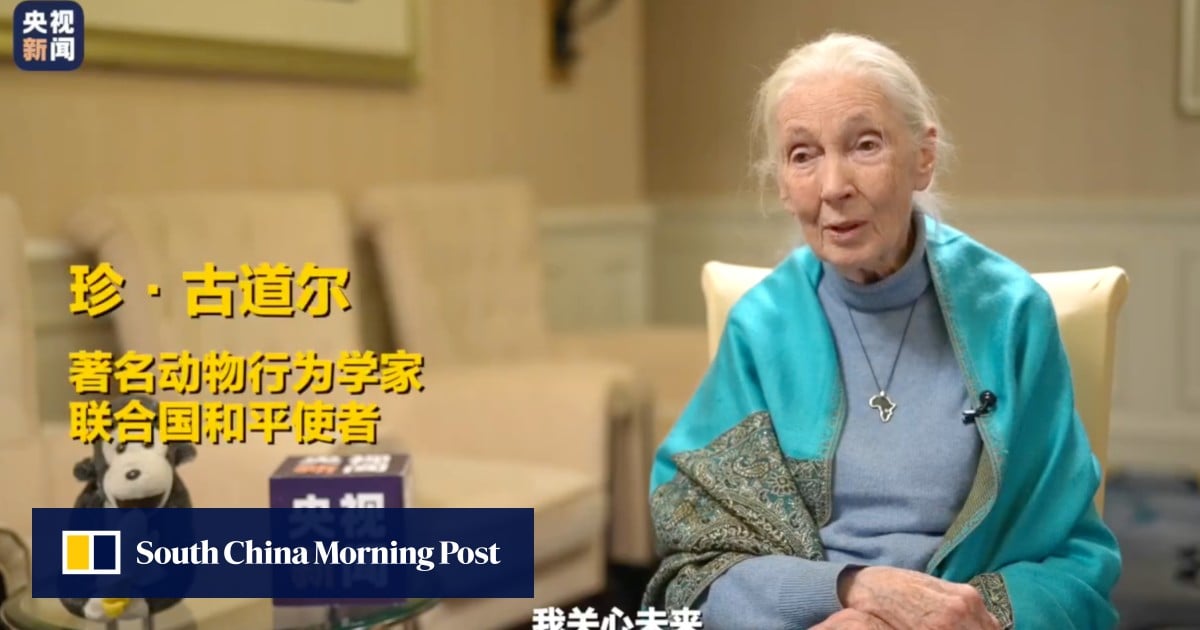 China remembers Jane Goodall and her ‘passionate engagement’ on the environment