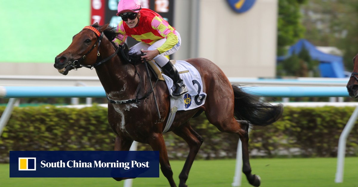 My Wish leads pack of hopefuls looking to join Hong Kong’s exclusive Group One club