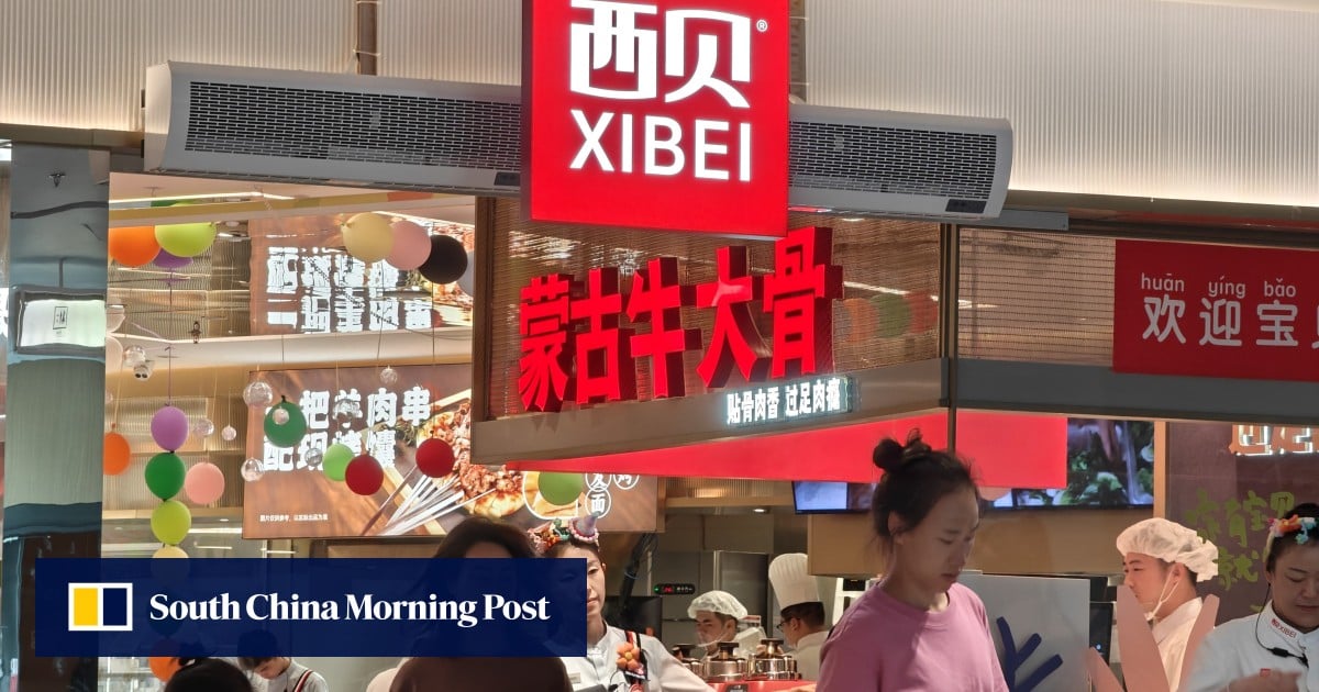 China’s struggling restaurants feeling queasy as debate rages over pre-made food