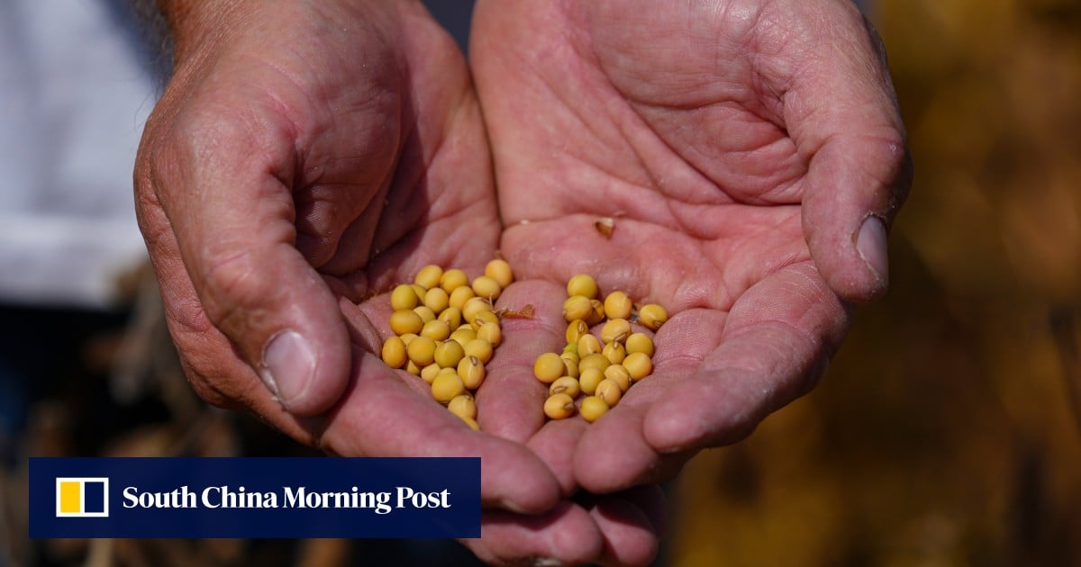 https://cdn.i-scmp.com/sites/default/files/styles/og_image_scmp_generic/public/d8/images/canvas/2025/10/03/bef2d84d-e457-48c6-bea6-a2f1e496a6a5_8320a4b2.jpg?itok=CcRgljF5&v=1759487115