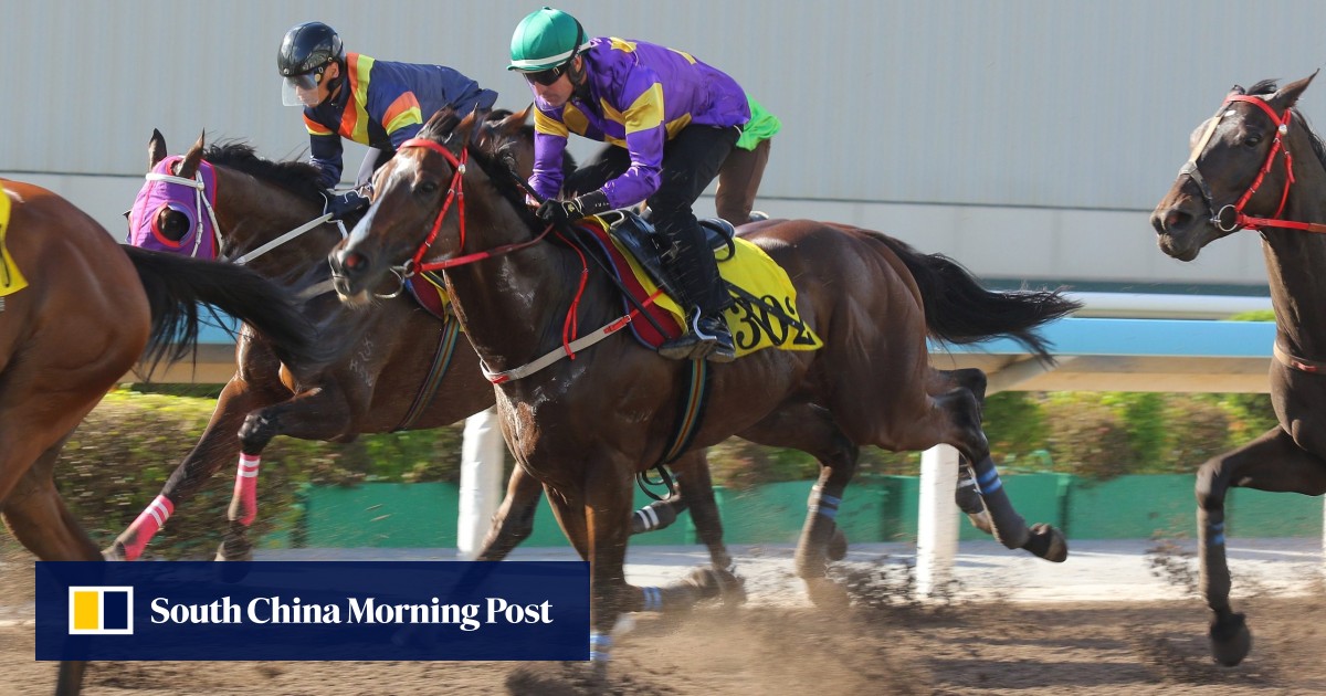 Hugh Bowman says Helios Express ‘feels as good’ as last season after Sha Tin trial