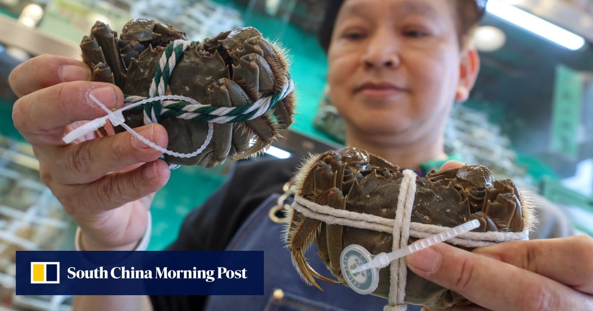 Hong Kong set for cheaper, fresher hairy crabs as direct imports resume