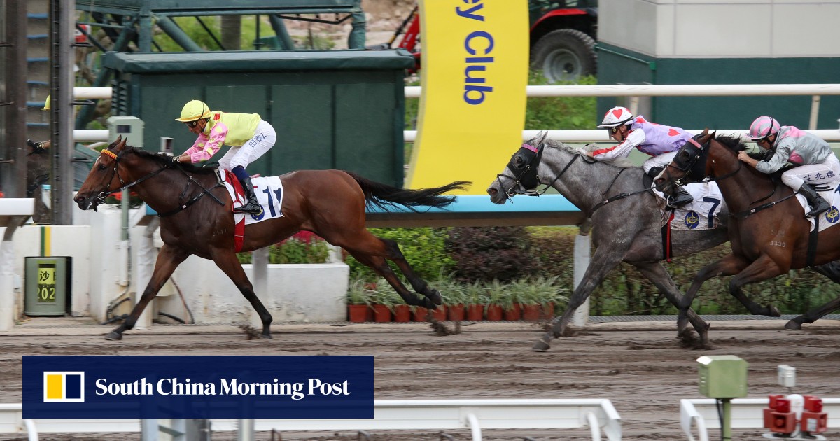 Mark Newnham secures first ever trifecta as Sing Dragon lands extraordinary betting plunge