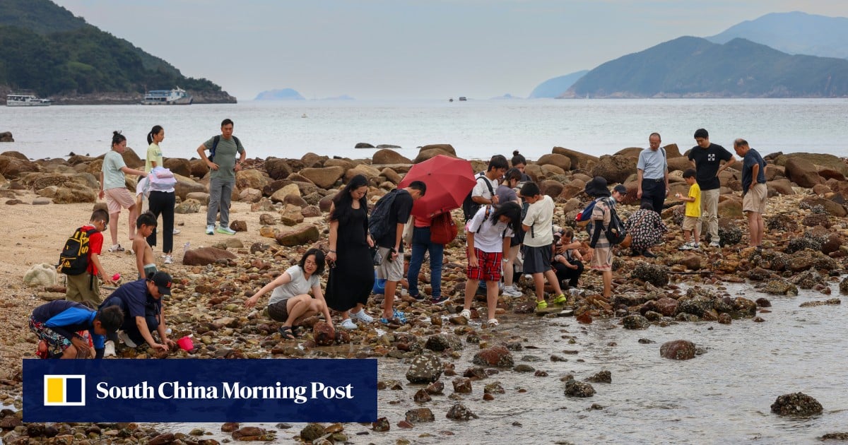 https://cdn.i-scmp.com/sites/default/files/styles/og_image_scmp_generic/public/d8/images/canvas/2025/10/04/a86eee37-b7c3-4c7b-a3e6-94928e8a3d24_5f38873a.jpg?itok=jieX88T1&v=1759578452