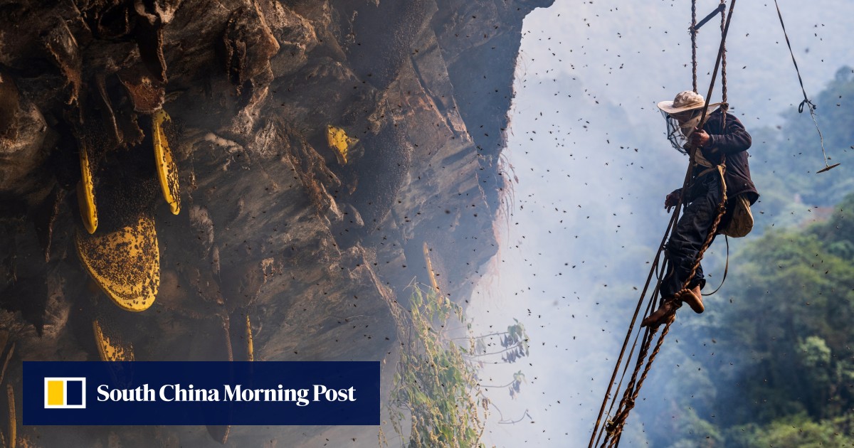 https://cdn.i-scmp.com/sites/default/files/styles/og_image_scmp_generic/public/d8/images/canvas/2025/10/06/7171f182-d374-4833-ad35-f795575b27ec_a7d47f97.jpg?itok=OoYDkHYb&v=1759752599