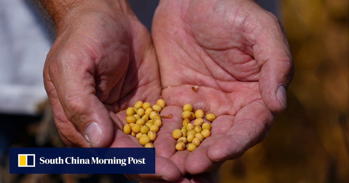 https://cdn.i-scmp.com/sites/default/files/styles/og_image_scmp_generic/public/d8/images/canvas/2025/10/07/524156dc-0f21-4962-b95c-e8cc637fa8d6_26922a46.jpg?itok=7t_qVLSY&v=1759781014