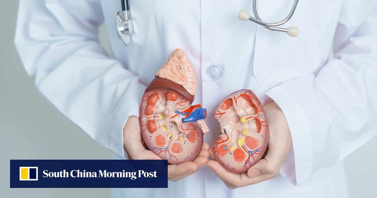 https://cdn.i-scmp.com/sites/default/files/styles/og_image_scmp_generic/public/d8/images/canvas/2025/10/07/568d40e3-b096-4be9-a9d7-acc3a89adff9_f01ce254.jpg?itok=Y7Gkniu5&v=1759837682