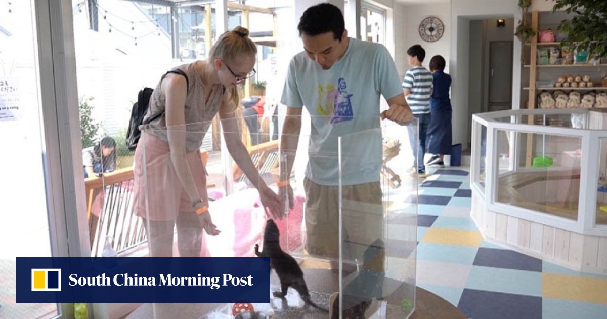 https://cdn.i-scmp.com/sites/default/files/styles/og_image_scmp_generic/public/d8/images/canvas/2025/10/07/d6da7c9c-e573-48b8-bab4-132fc0c636f7_41361e35.jpg?itok=PsezWp3w&v=1759830821