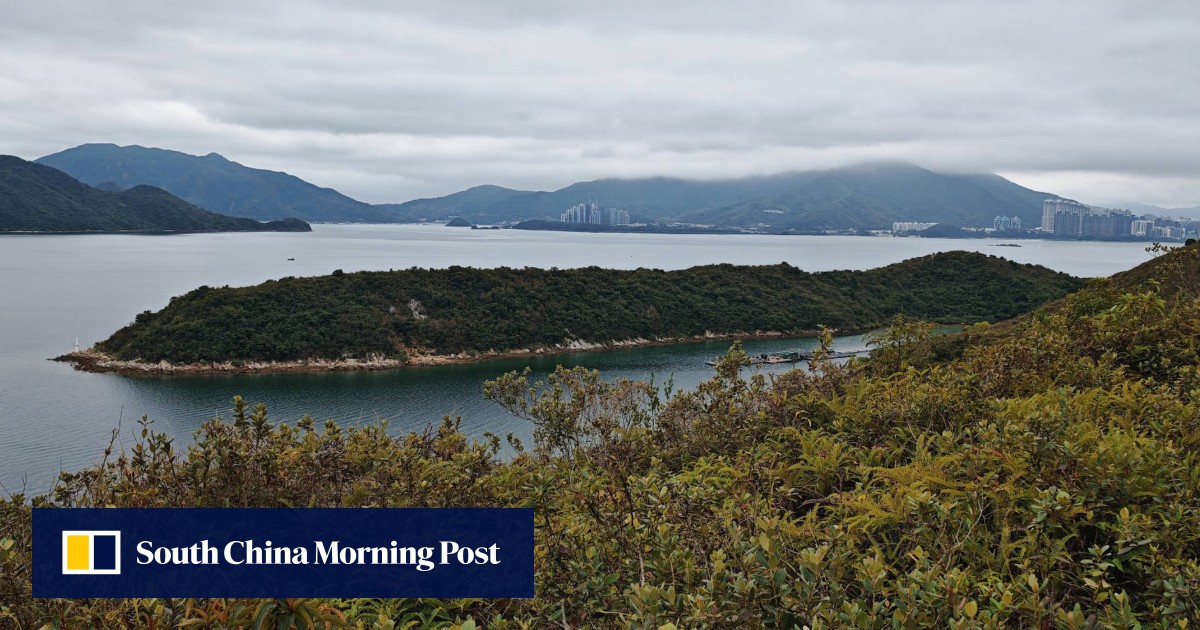 https://cdn.i-scmp.com/sites/default/files/styles/og_image_scmp_generic/public/d8/images/canvas/2025/10/07/deacbc8c-0f0f-4c20-a68a-d681d57714fd_6baeafa8.jpg?itok=ngySQthz&v=1759836688