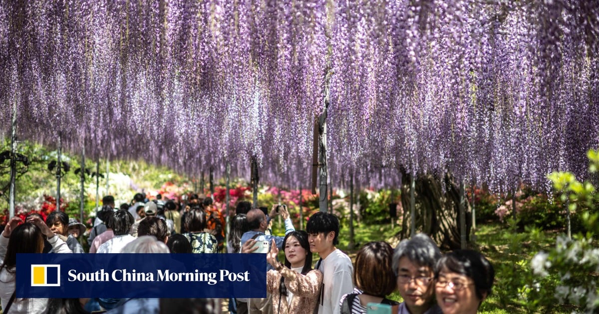https://cdn.i-scmp.com/sites/default/files/styles/og_image_scmp_generic/public/d8/images/canvas/2025/10/08/4825b610-b1a7-4b25-994c-151a5ee12ed8_40af5732.jpg?itok=tJd1Nthi&v=1759887182