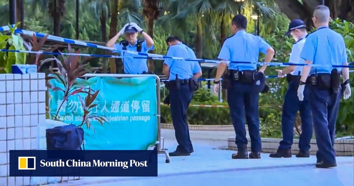 https://cdn.i-scmp.com/sites/default/files/styles/og_image_scmp_generic/public/d8/images/canvas/2025/10/08/7a99dd50-1901-4f48-86f4-0c5a5dfa697e_10c9719d.jpg?itok=sb31qgqf&v=1759897971
