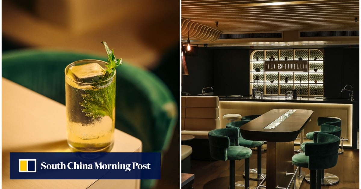 https://cdn.i-scmp.com/sites/default/files/styles/og_image_scmp_generic/public/d8/images/canvas/2025/10/09/f9d052ab-c869-4080-9d90-0e13bfc50443_7686a81d.jpg?itok=Rls7Kznb&v=1759988804