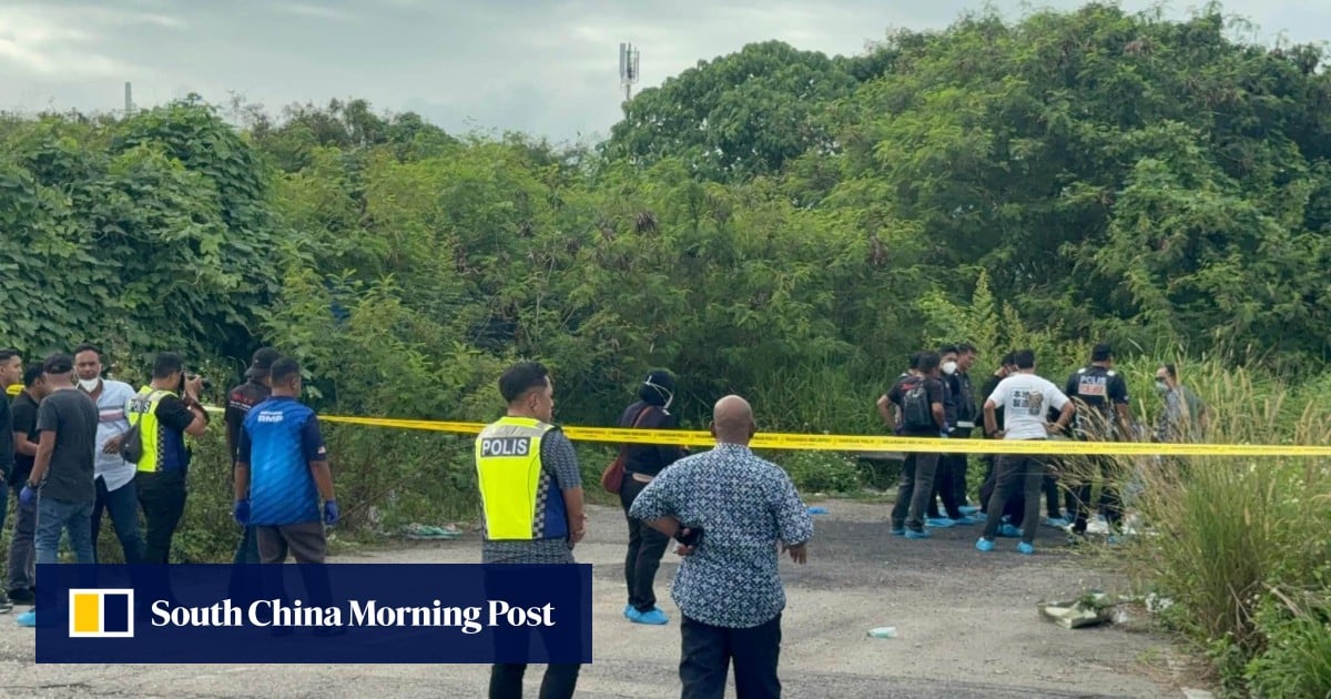 https://cdn.i-scmp.com/sites/default/files/styles/og_image_scmp_generic/public/d8/images/canvas/2025/10/10/96b5ad3c-5478-4b66-80e4-08adde76a8ee_7240fbfe.jpg?itok=oUc3Msrd&v=1760077759