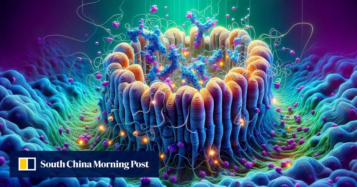 https://cdn.i-scmp.com/sites/default/files/styles/og_image_scmp_generic/public/d8/images/canvas/2025/10/10/9ff82341-6aed-42f4-9329-db4d98900f63_63874a63.jpg?itok=ej5g7V2Q&v=1760061104