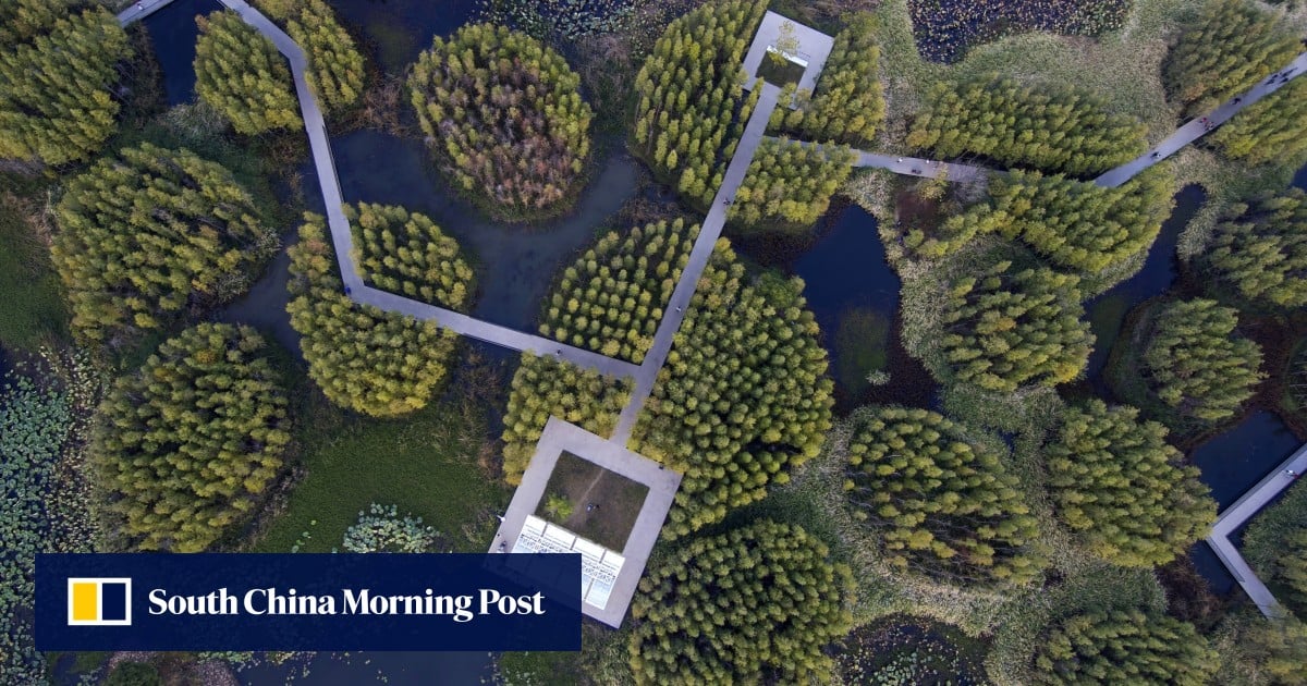 https://cdn.i-scmp.com/sites/default/files/styles/og_image_scmp_generic/public/d8/images/canvas/2025/10/10/c697b134-0687-4562-9b94-d65059a4b77f_98952132.jpg?itok=ETaoW6rE&v=1760074298