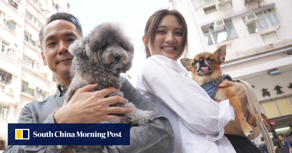 https://cdn.i-scmp.com/sites/default/files/styles/og_image_scmp_generic/public/d8/images/canvas/2025/10/11/1a58a9a6-8810-4983-974c-f7dc42d25f91_6c08a41d.jpg?itok=N3MTiflA&v=1760166032