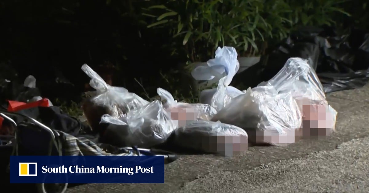 https://cdn.i-scmp.com/sites/default/files/styles/og_image_scmp_generic/public/d8/images/canvas/2025/10/11/1d73fc3b-6dde-4609-bacc-8e47c72abc5d_eeb9b317.jpg?itok=yJRcwoHy&v=1760177615
