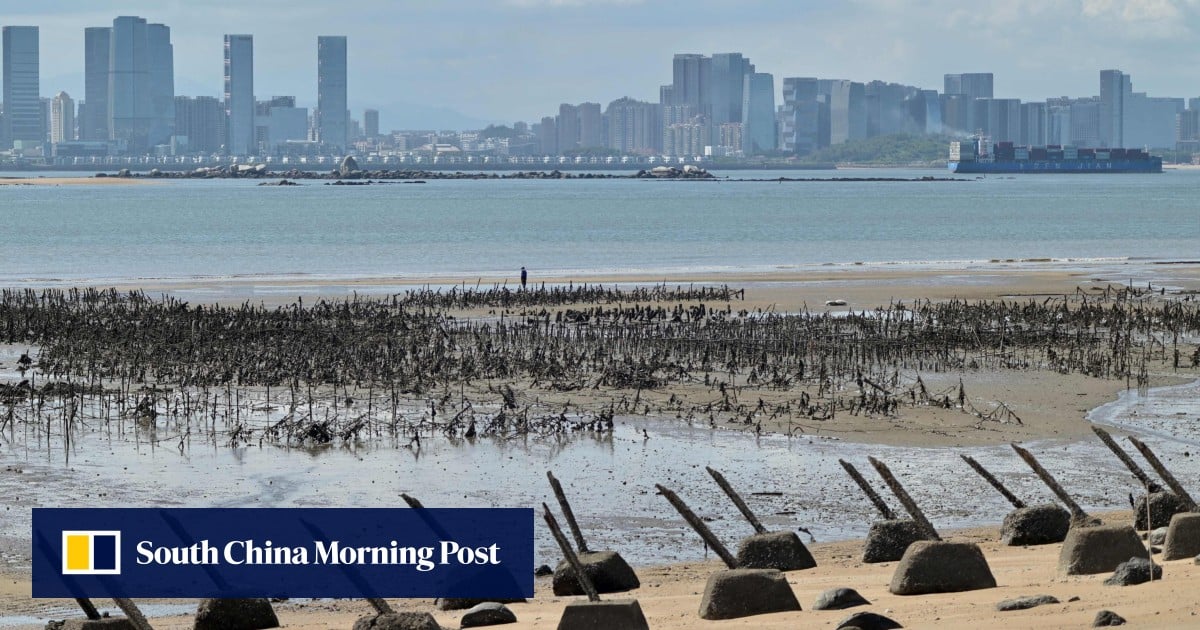 https://cdn.i-scmp.com/sites/default/files/styles/og_image_scmp_generic/public/d8/images/canvas/2025/10/11/70028110-f792-479f-92fa-132c1f5fe5b6_d3c754eb.jpg?itok=UaSR3k6M&v=1760173663